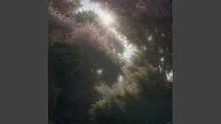 spring light