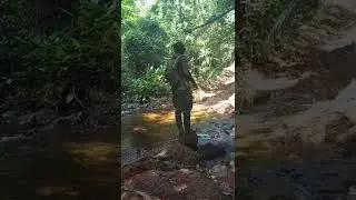 River Pamu within the Tano Offin Forest Reserve