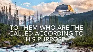 KJV Romans 8:28 | Scripture Song