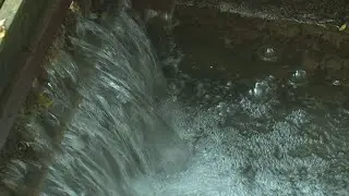Flash flood wipes out half of Mount Joy trout hatchery&rsquo;s fish, halts operations