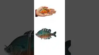 Six-Section Tilapia Fishing Lure &ndash; Multi-Jointed ABS Bait with Realistic Swim Action | Freshwater...