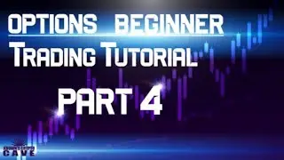 Options Beginner Trading Tutorial - In or Out (Part: 4)
