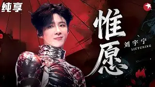 不愧是ost专业户，刘宇宁现场唱《惟愿》，开口自带江湖直接梦回燕子京！#刘宇宁 #明星演唱会 clip