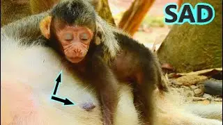 [WATCH] DEEPLY SAD WITH SORROWFUL FEELING...BABY BIDEN NOT SLEEPING BUT LOOK LIKE WAITING HIS MILK