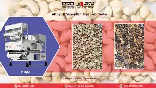 AMD&reg; P-LQS4 Dry Fruits Optical AI Color Sorter Machine Price for Cashew/Kaju Nuts Sorting