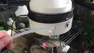 GREENHOUSE HYDROFOGGER: HOW TO HOOK UP DIRECT WATER FEED