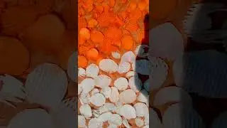 Potato chips#French #fries #aalu ka chips recipe#redchips#chilli chips#holispecialrecipeआलू का चिप्स