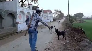 DOG PRANK WITH STICK