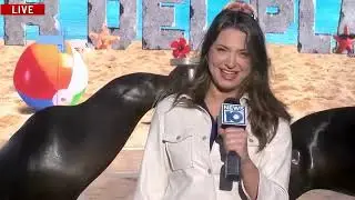 Funny News Bloopers