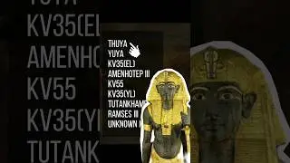 😱 Tuts DNA results are shocking.... to some #kemet #ancientegypt #hiddenhistory