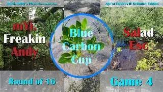 Blue Carbon Cup, Ro16 - mYi.FreakinAndy vs. SaladEsc, Game 4 - Age of Empires II: Definitive Edition