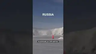 Из США в Россию МОЖНО дойти пешком! Диомид в Беринговом проливе на Аляске &mdash; редкость.