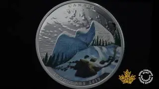 1 oz. Pure SIlver Coloured Coin - Landscape Illusions: Snowy Owl