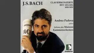 Harpsichord Concerto in E Major, BWV 1053: II. Siciliano
