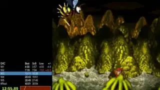 DKC1 All Stages Speedrun 39:45