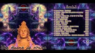 15. Fractal DNA vs Plasma Force: Dimensional Disintegration   - VA - Doors of Shiva - Psychedelic