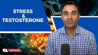 How STRESS decreases your TESTOSTERONE levels