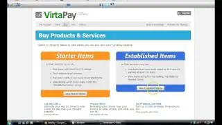 What Is VirtaPay ?