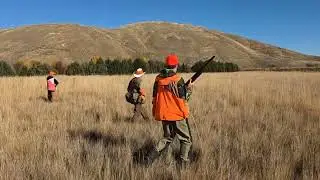 George DaCosta Pheasant Hunting & Dog Training Video