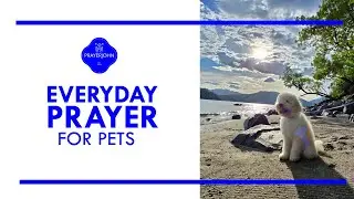 Daily Prayer - For Pets - DAILY INSPIRATION