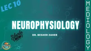 Neurophysiology 