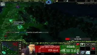 DoTa 1 mirana saport