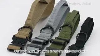 Custom Tactical Dog Collar with Handle