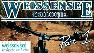 Weissensee Trail | Weissensee Mountainbike Trails | POV | Propain Ekano 