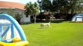 Giochi gonfiabili