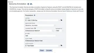 Annotating a genome in BV-BRC