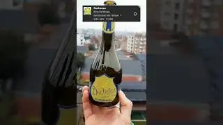 Duchessa - Spelt Saison - 5.8% - birradelborgo #beer #shorts #beerreview #belgium #craftbeer