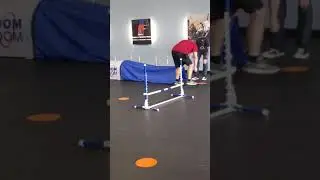 Mia agility(4)