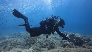 Diving Croatia 2025
