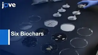 Six Biochars for the Remediation of Contaminated Sites | Protocol Preview