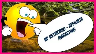 $879 a day - Adsense? Try Monumetric.com | Mediavine.com Mobile Ad Network