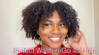 The Mane Choice Tropical Moringa Collection
