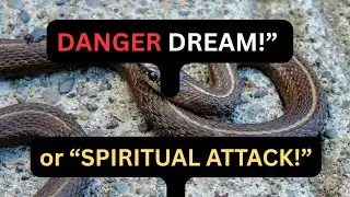 Dream of Snake ? WARNING from the Spiritual Realm!&rdquo;&lrm;