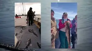 🎣 Westport, WA Fishing Charters | Summer's Here | Salmon, Halibut, Tuna & Bottom Fish!