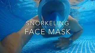 Full dry snorkeling face mask