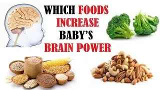 Which foods increase baby&rsquo;s brain power