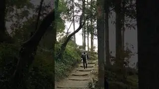 A walk in the nature.  #mussoorie #uttarakhand #himalayas #trendingshorts #shortsfeed