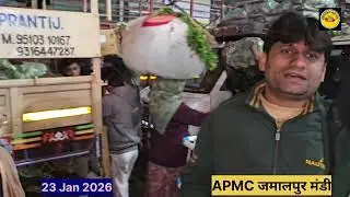 Ahmedabad wholesale vegetable market | 23 January 2026 | अहमदाबाद सब्जी मंडी मे सब्जी के भाव...