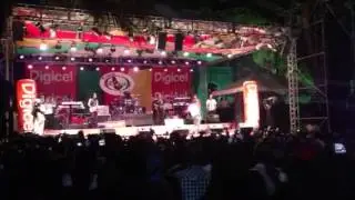 Reggae on the hill 2013