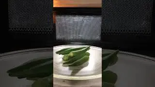 Microwave Vs Lady Fingers #microwave #microwavechallenge #experiment #scienceexperiments #