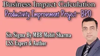 Business Impact Calculation in a Lean Six Sigma Productivity Improvement Project - BPO