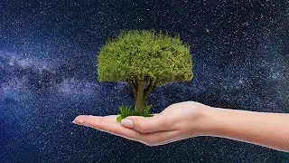 DNA Cleansing