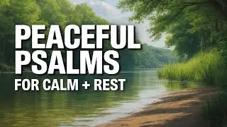 Peaceful Psalms Intro | NLT Bible Reading for Rest, Calm, Sleep + Stress Relief