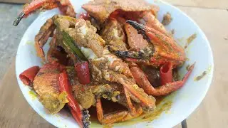 How to Make Crab Curry? | Crab Curry Recipe | A Spicy Seafood Delight! | Sea Food Recipe