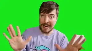 MrBeast green screen Not The Dollar Store MrBeast