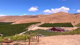 100% Chance of Wine - Upper Yakima Valley